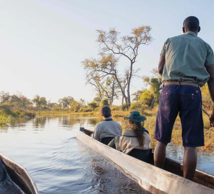 Mokoro activity on the Okavango Delta.