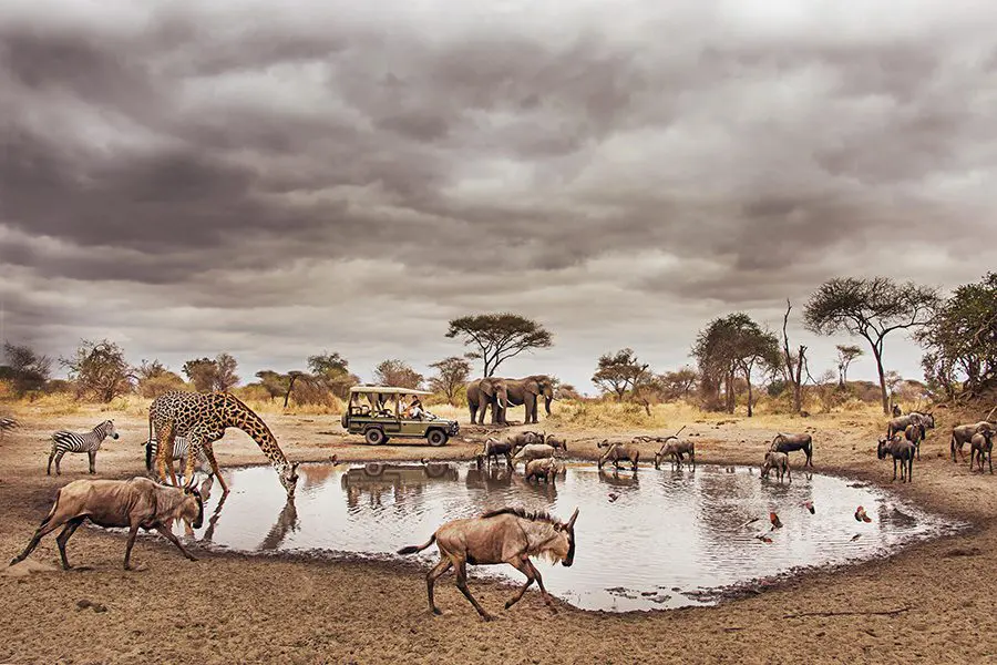 Chem-Chem-Lodge-Safari-Tanzania-