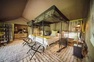 Forest Chem Chem luxury tented room.