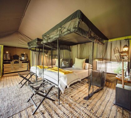 Forest Chem Chem luxury tented room.