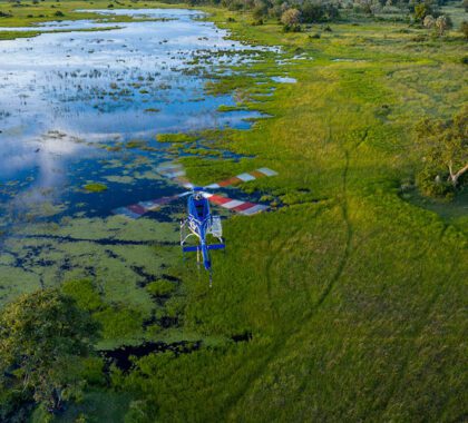 Take flight over the Okavango Delta.