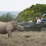 Conservación del rinoceronte en peligro en la Reserva Privada de Kwandwe. 