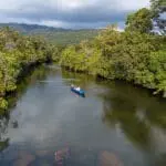Kayak por los ríos boscosos.