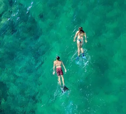 Ideal waters for snorkelling. 