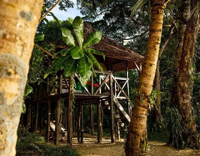 Beachfront lodges are propped on stilts for elevated views.