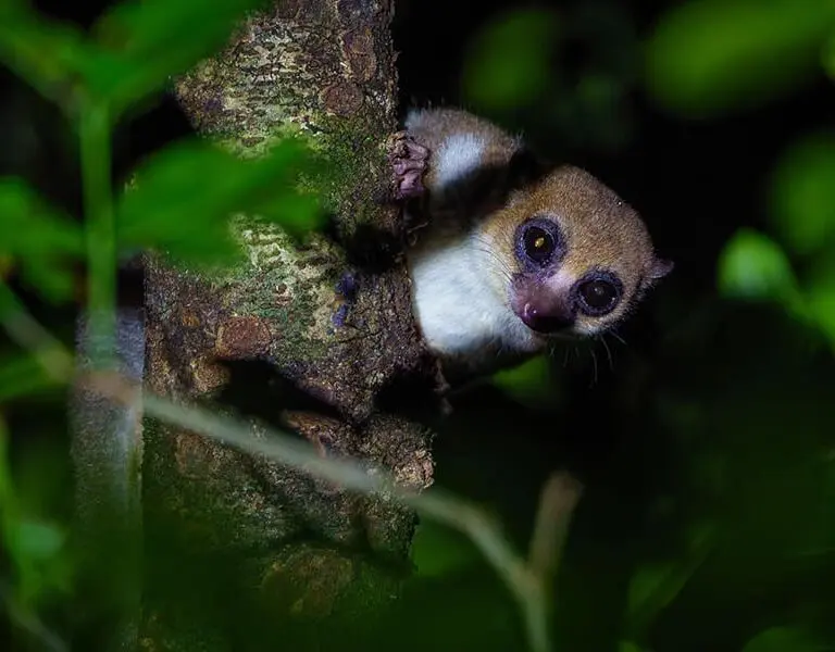 Exceptional wildlife encounters. 