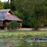 Exterior del Mfuwe Lodge.