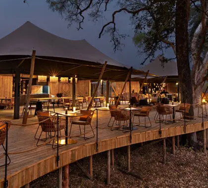 El campamento por la noche. 