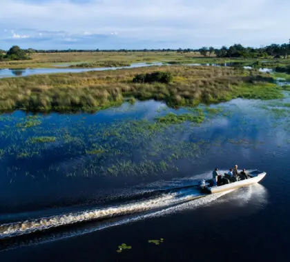 Excursiones en barco. 