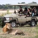 Los vehículos eléctricos crean un safari "silencioso