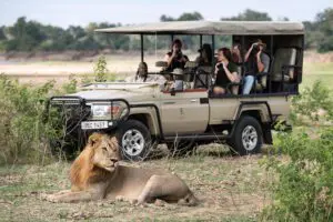Los vehículos eléctricos crean un safari "silencioso