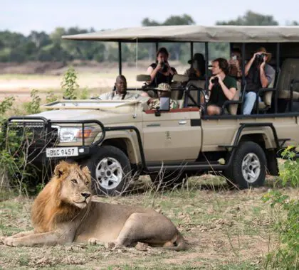 Electric game drive vehicles create a 'silent' safari