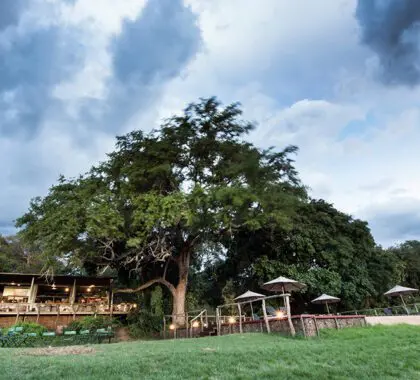 Sheltered under the riverside trees