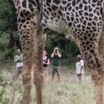 Los safaris a pie crean recuerdos emocionantes 