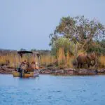 El avistamiento de animales en barco es algo especial