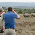 Kwandwe big game walking safari.