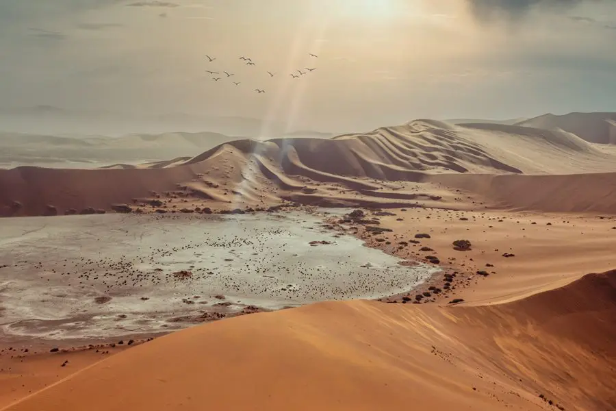 Dunas del desierto de Namibia | Go2Africa