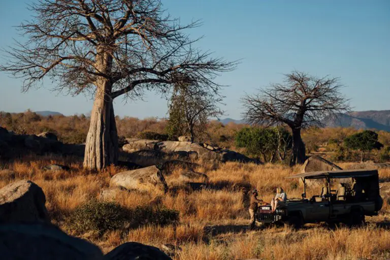 asilia-africa-jabali-ridge-praten-met-je-over-wat-je-wilt-zien-tijdens-safari
