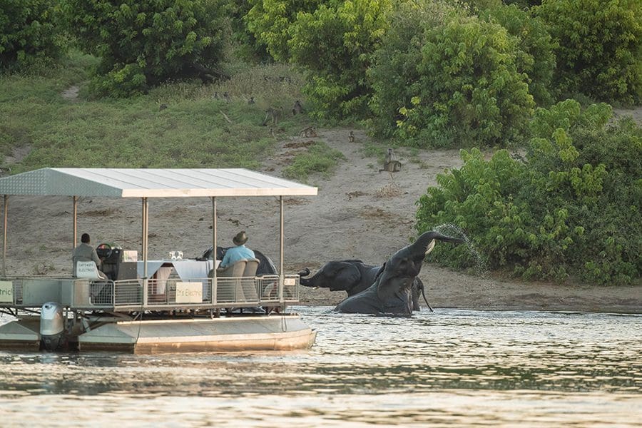 Elephants in the Chobe River at Chobe Game Lodge, Botswana | Go2Africa