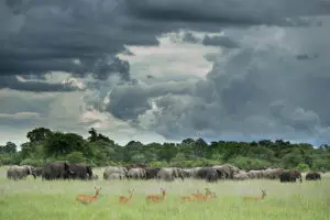 Incredible game viewing and photographic opportunities.