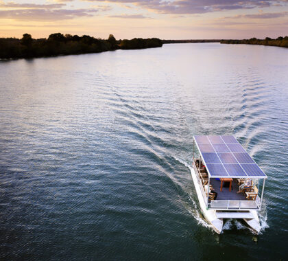 Silent electric boat safaris.