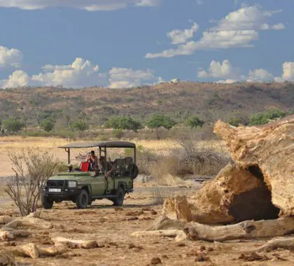 jabal-elephants