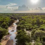 Aerial view over Jongomero Camp in Ruaha National Park | Jongomero Camp