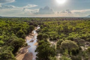 Aerial view over Jongomero Camp in Ruaha National Park | Jongomero Camp