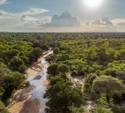 Vista aérea del campamento de Jongomero en el Parque Nacional de Ruaha | Jongomero Camp
