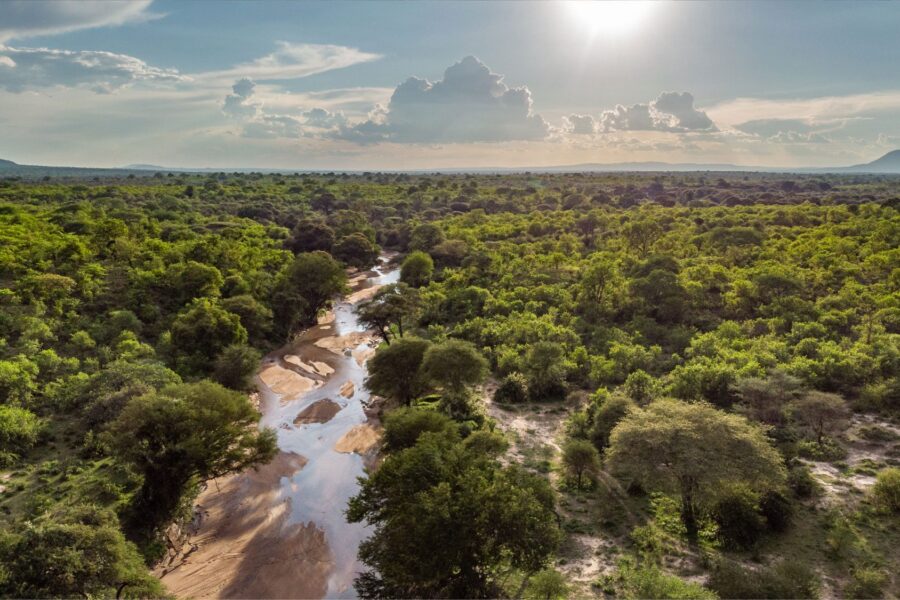 Aerial view over Jongomero in the Ruaha National Park