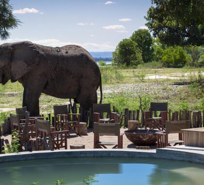 Sustainable Travel: Our Best Eco-Friendly & Positive Impact Lodges in Southern Africa