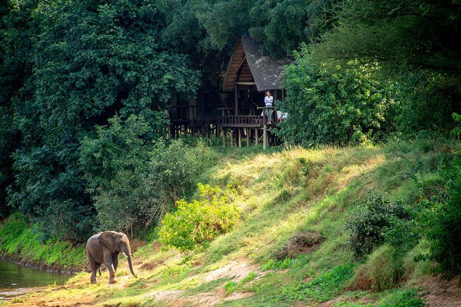 Elefantes en el lujoso Pafuri Tented Camp de Sudáfrica | Go2Africa