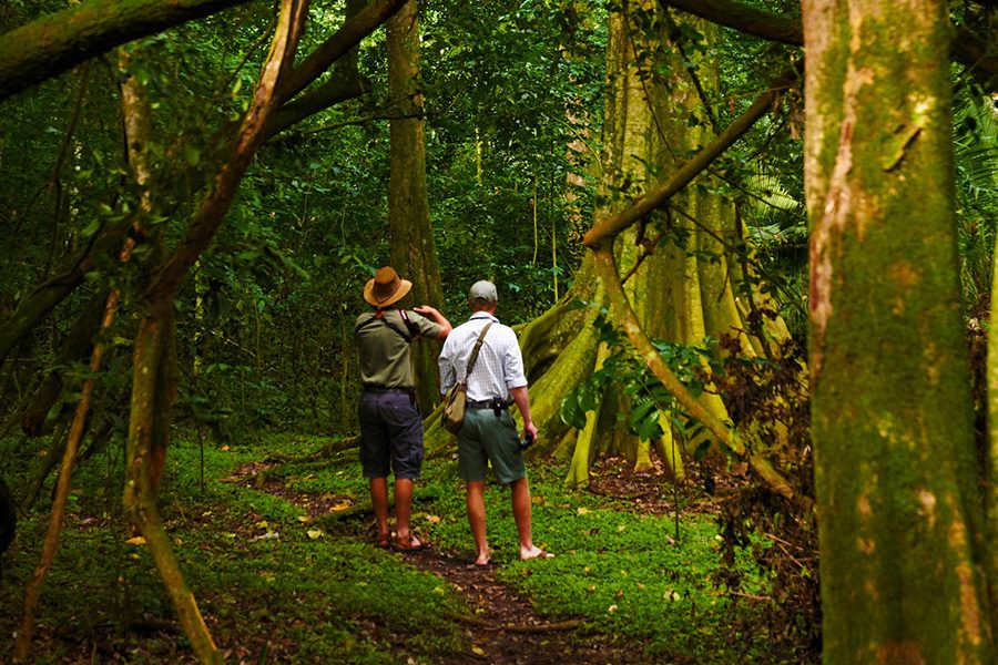 Two people stand in the midst of a forest on Rubondo Island | Go2Africa