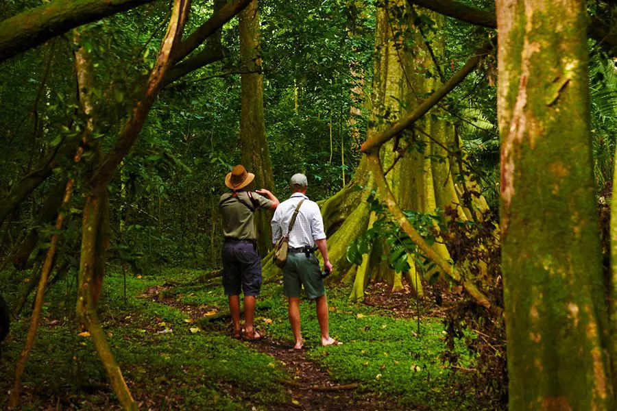 Dos personas en medio de un bosque en la isla de Rubondo | Go2Africa