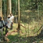 Explorar la isla en un paseo guiado por la isla de Rubondo.