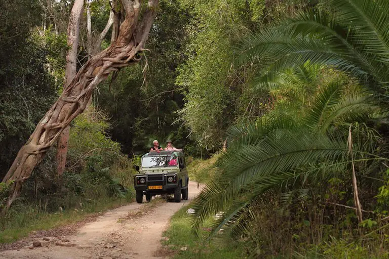 A drive in a 4x4 safari vehicle through Rubondo Island National Park, Tanzania.