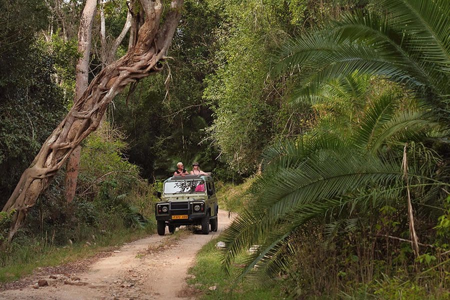 Een rit in een 4x4 safarivoertuig door het Rubondo Island National Park, Tanzania.