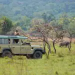 Hippo spotted on game drive in a safari 4x4 vehicle in Rubondo National Park, Tanzania.