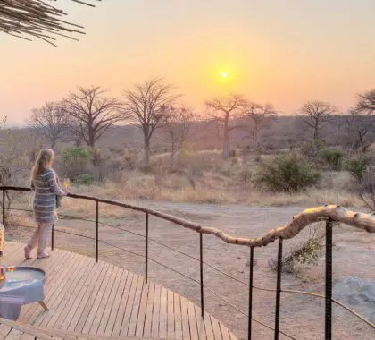 Safari Villas de uso exclusivo: Nuestras mejores opciones