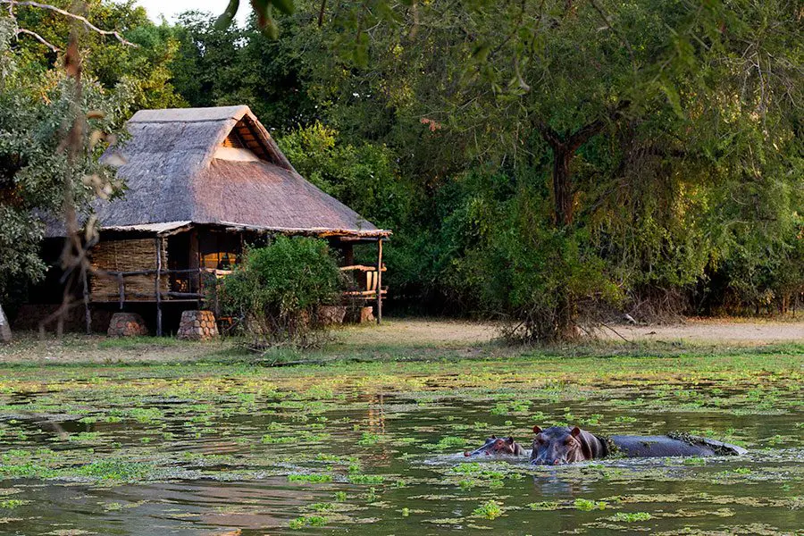 mfuwe-lodge-exterior-3