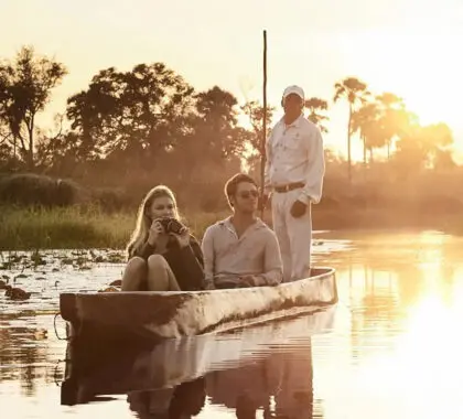 Los mejores safaris africanos para parejas: Nuestra selección