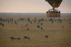 Hot-air balloon over the plains. 