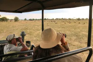Thrilling game drives. 