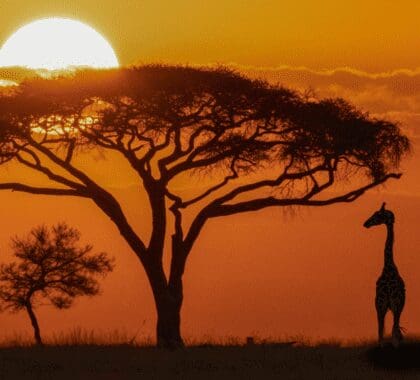 world-travel-awards-banner-1-2