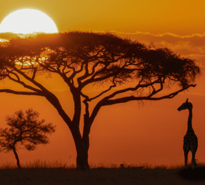 world-travel-awards-banner-1-2