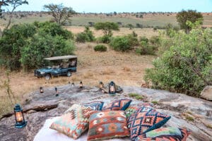Enjoy meals out in the wild. 