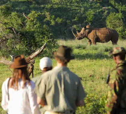 Walk with Rhinos experience at Borana Lodge.