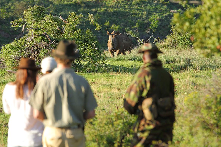 borana-lodge-walk-with-rhinos