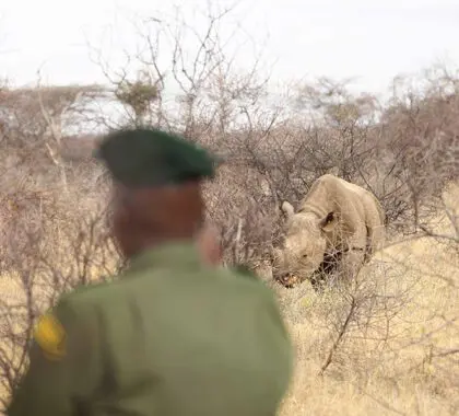 Track rhino on foot | Saruni Rhino