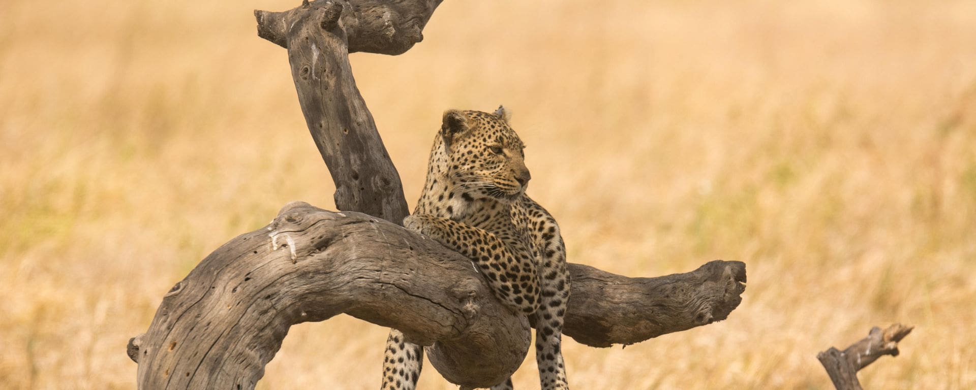 Vacations in March 2024 Go2Africa